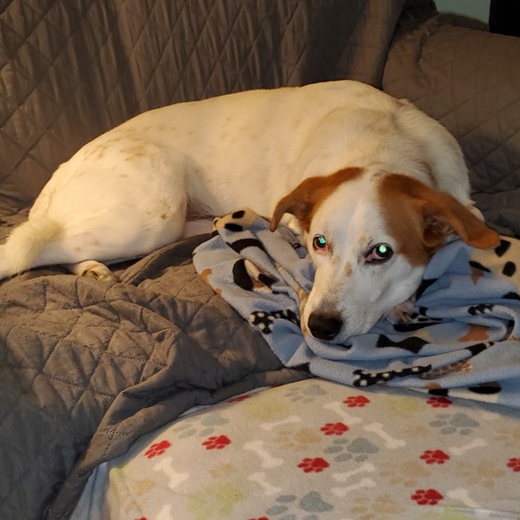 Meet your Posher, Cristie - Picture 3 of 4